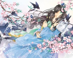 小黄人桃花源